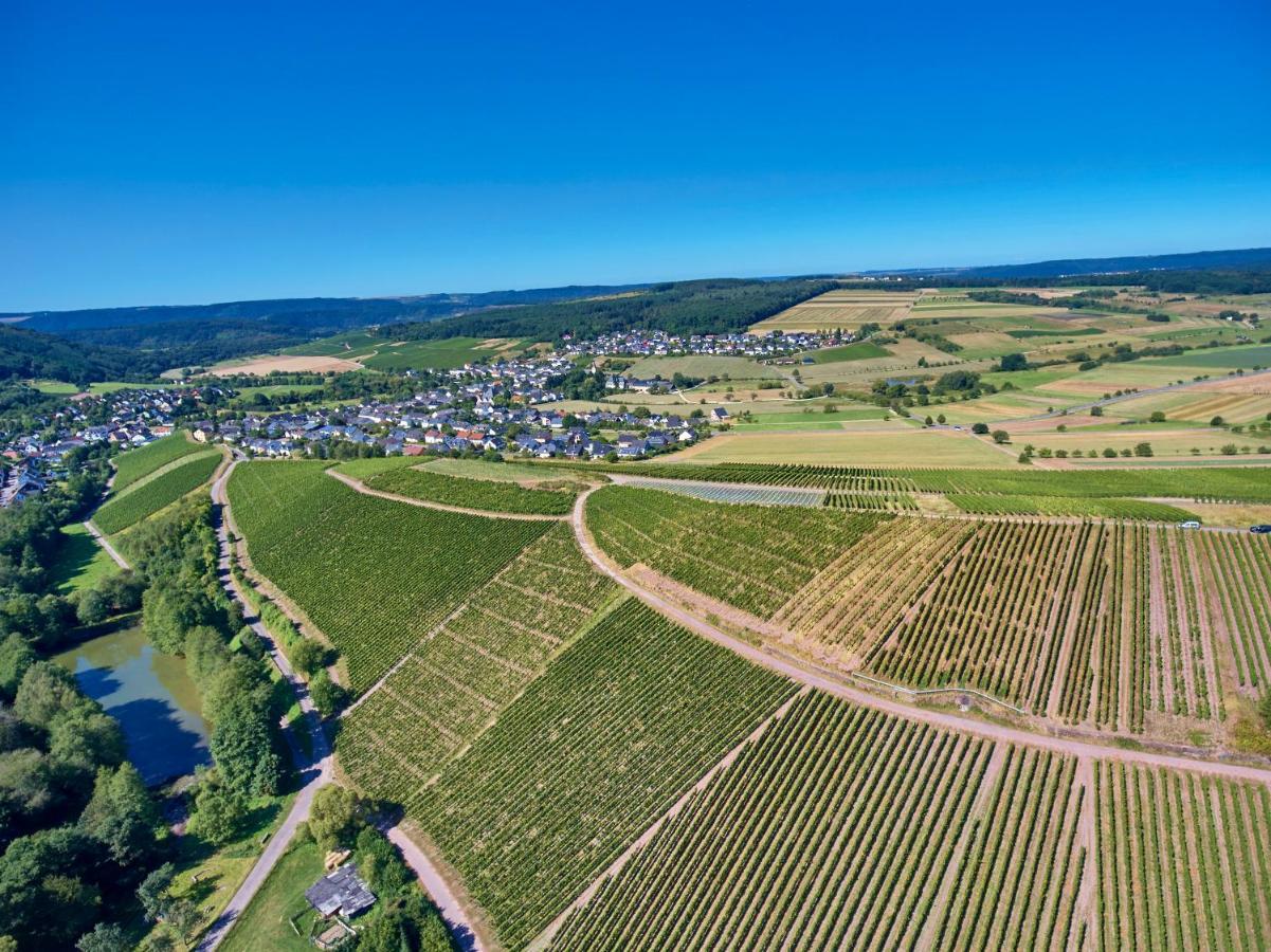Ferienweingut Willems Oberemmel Exteriör bild