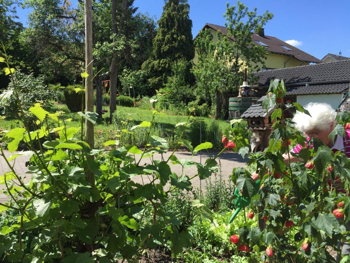 Ferienweingut Willems Oberemmel Exteriör bild