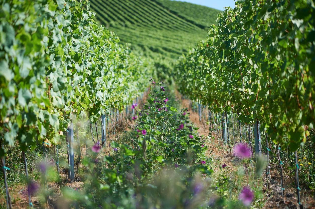 Ferienweingut Willems Oberemmel Exteriör bild